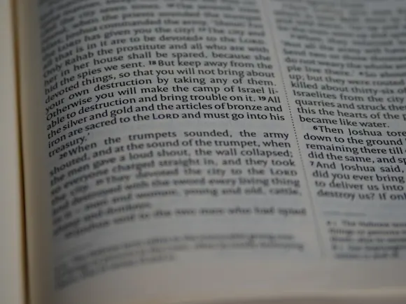 Casino Grand Eagle Tacaíocht